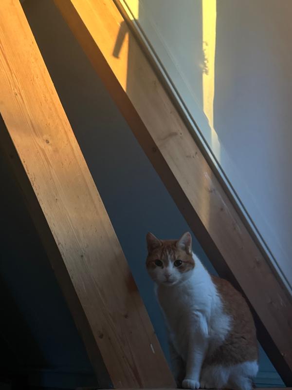 Billy