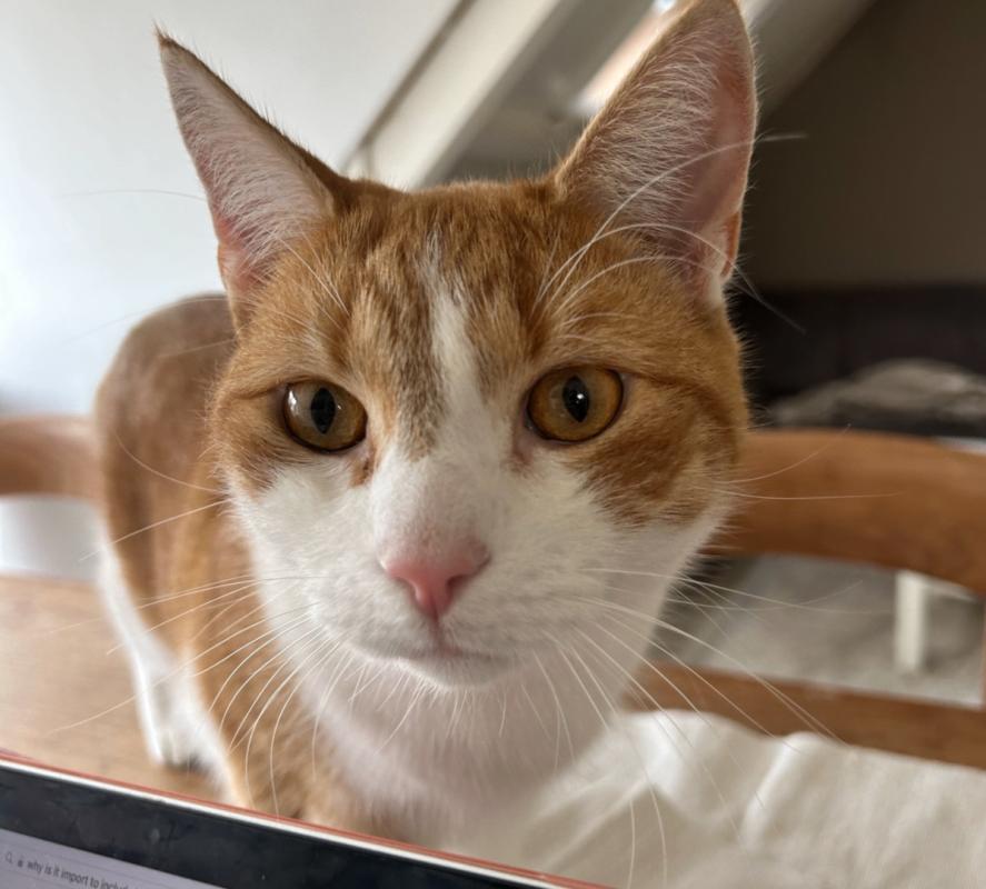 Billy