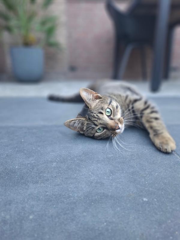 Billy