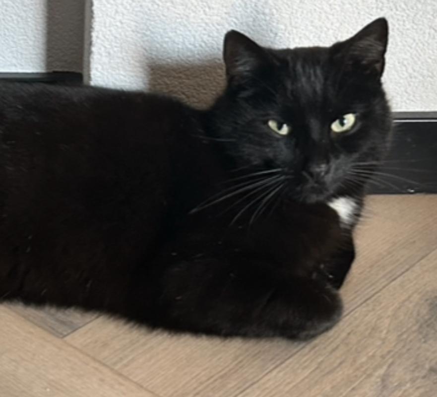 Max