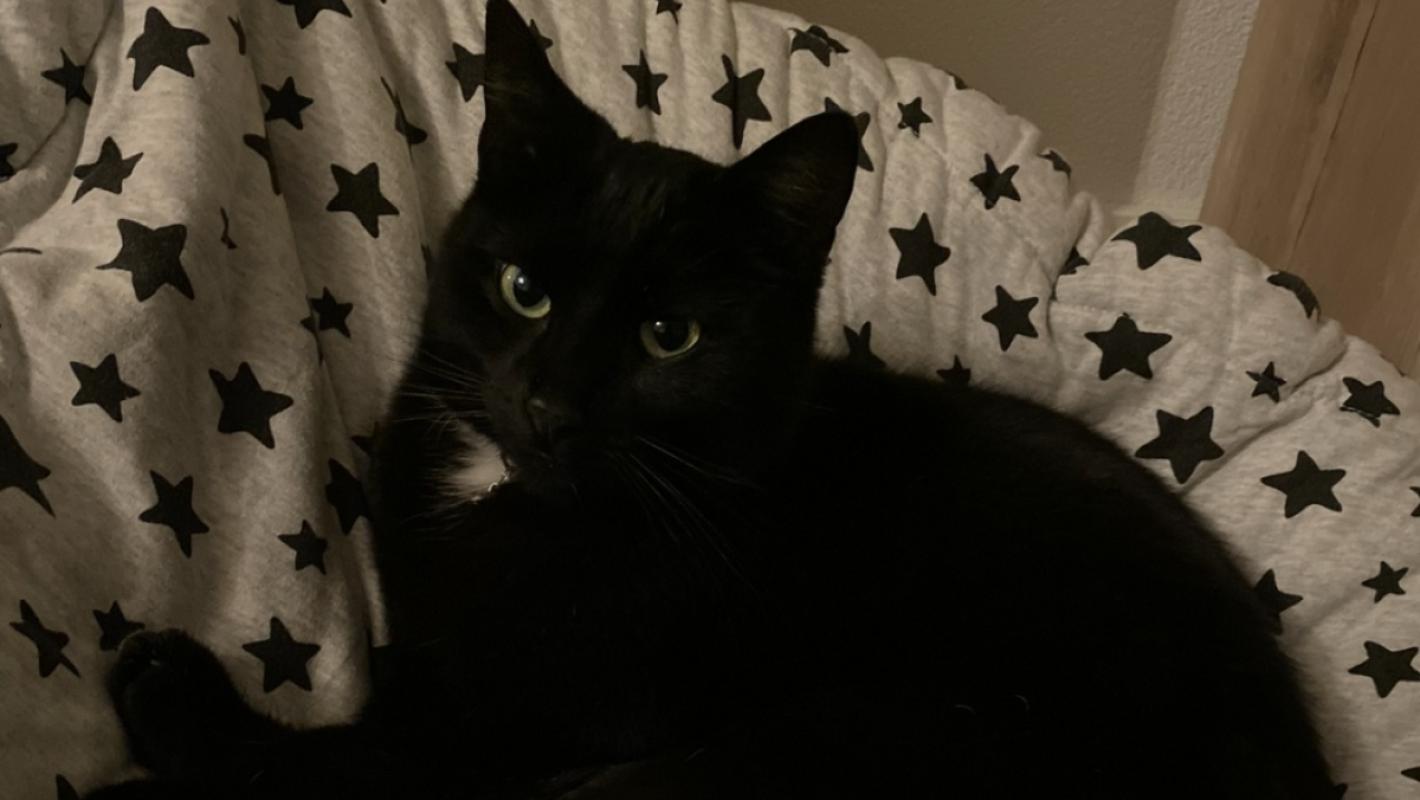 Max