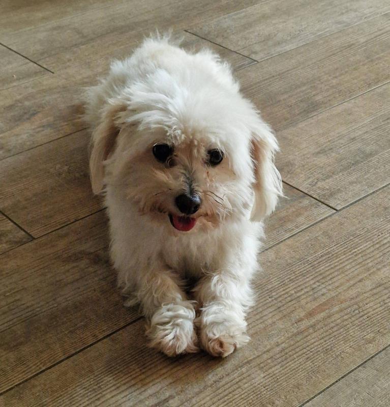 Rudy