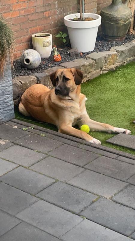 Odin