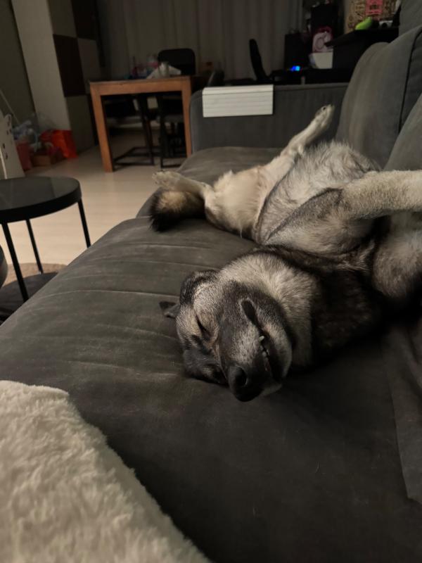 Luna
