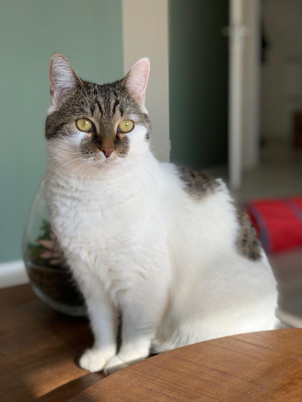Lily