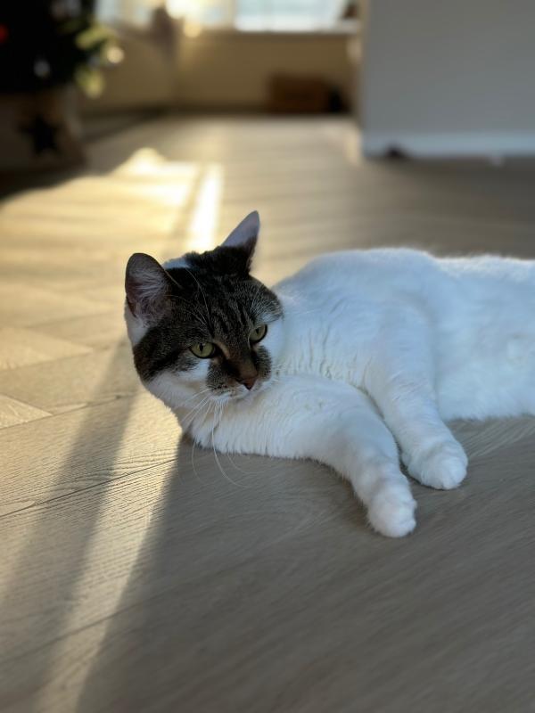 Lily