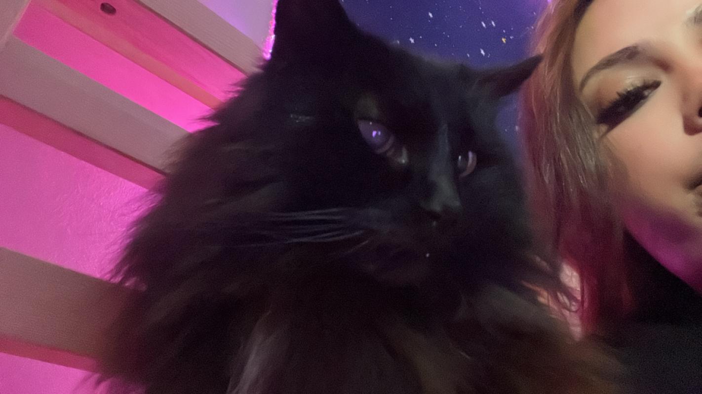 Furby
