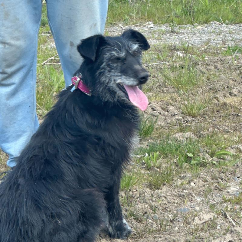 Lucy