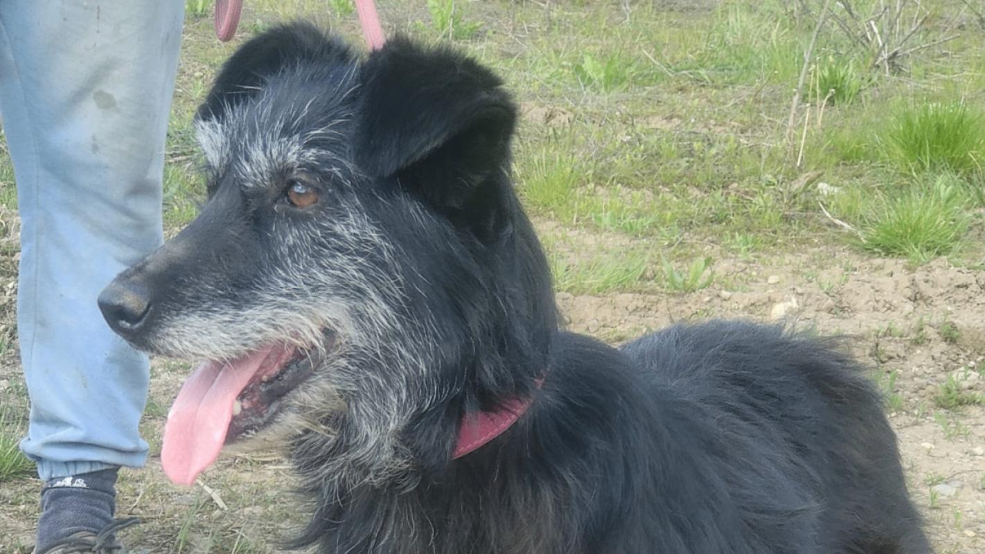 Lucy