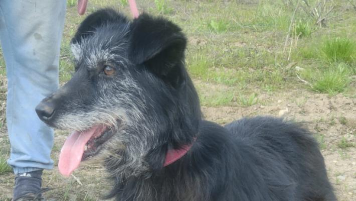 Lucy