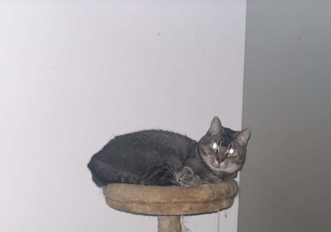 Bella