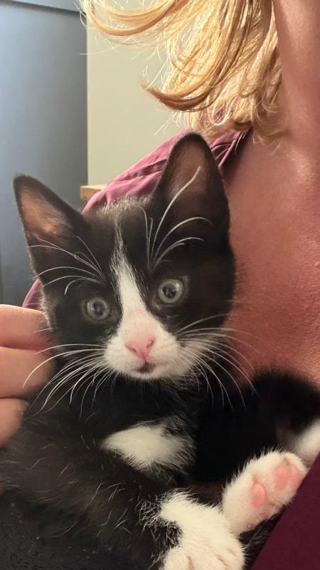 Max