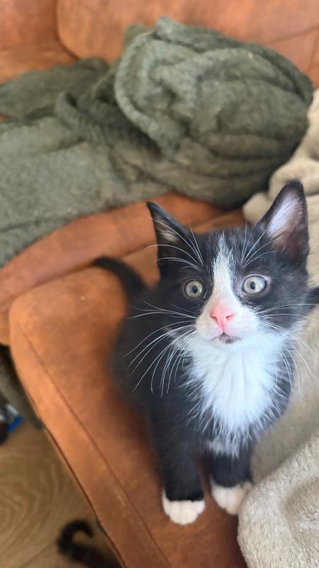 Max