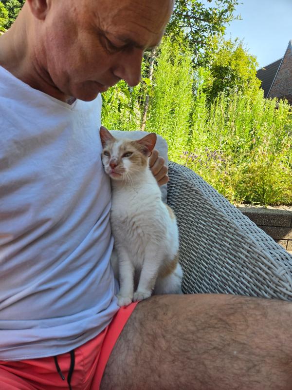 Kitty