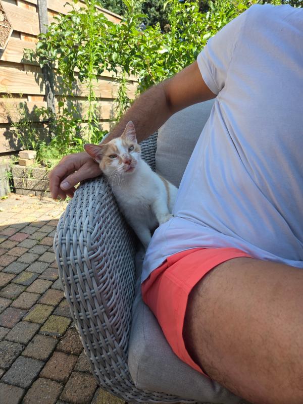 Kitty