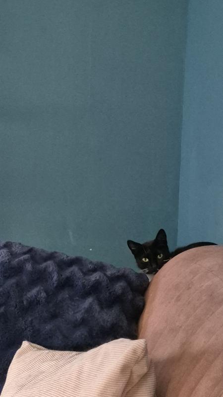 Pip