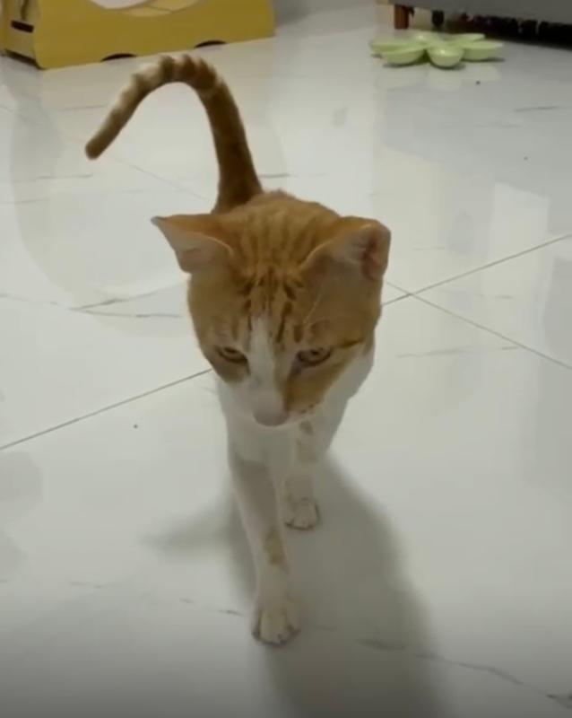 Gabriel