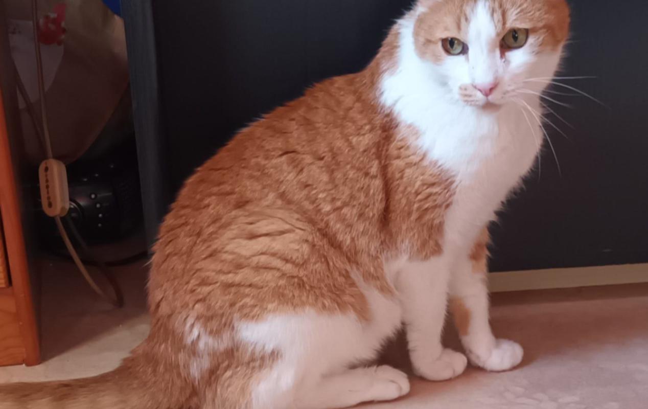 Charlie