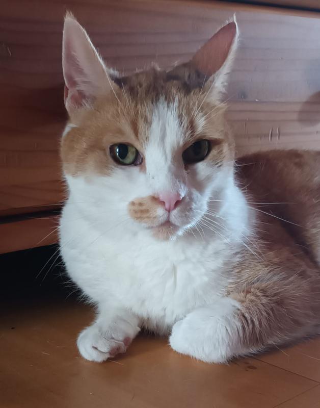 Charlie