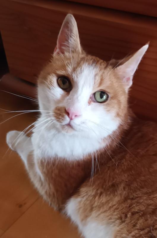 Charlie
