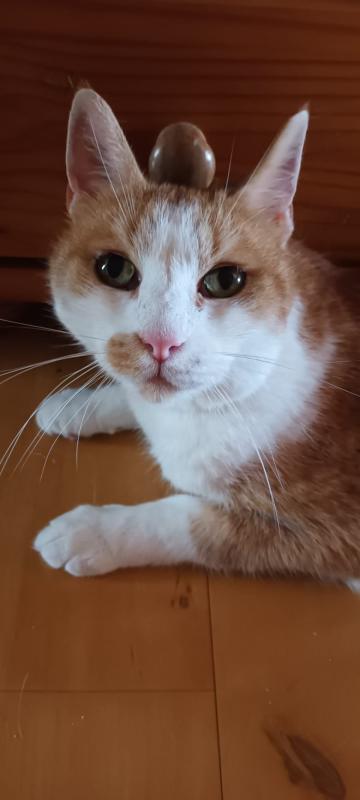 Charlie
