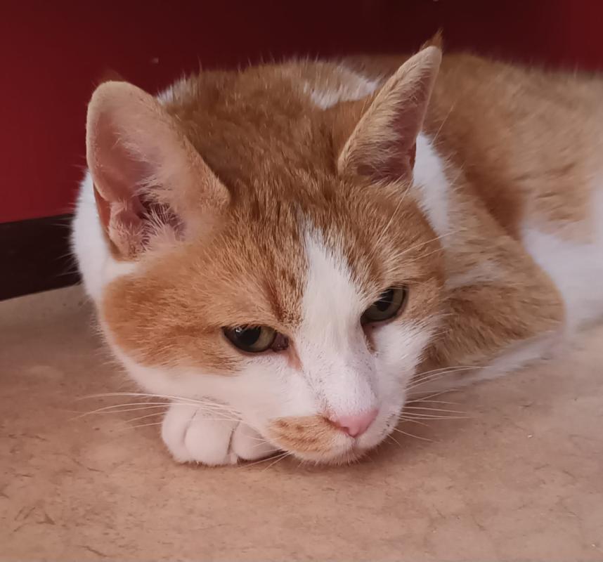 Charlie