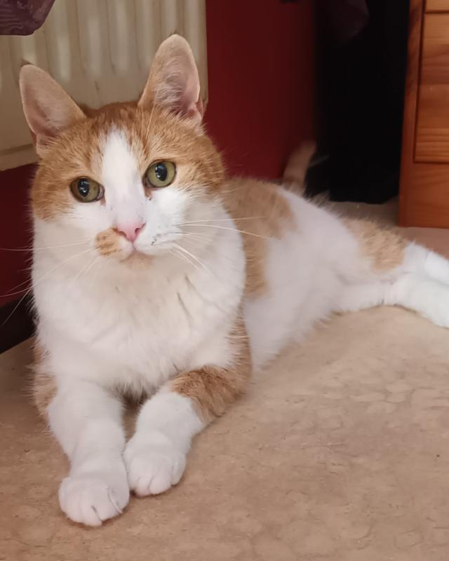 Charlie