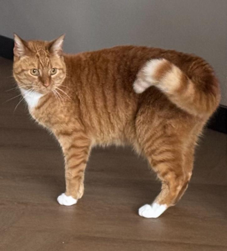 Otis