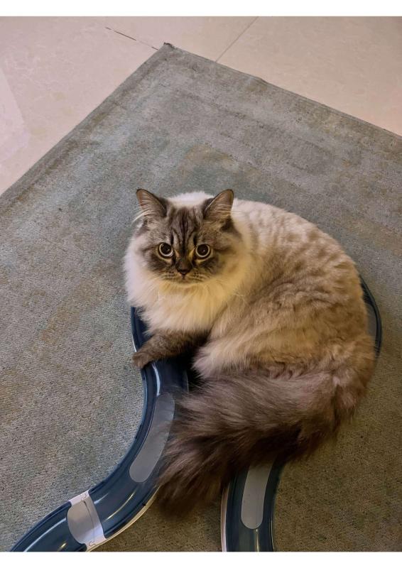 Mia