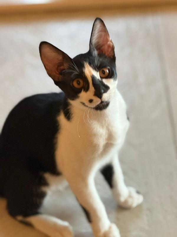 Casper