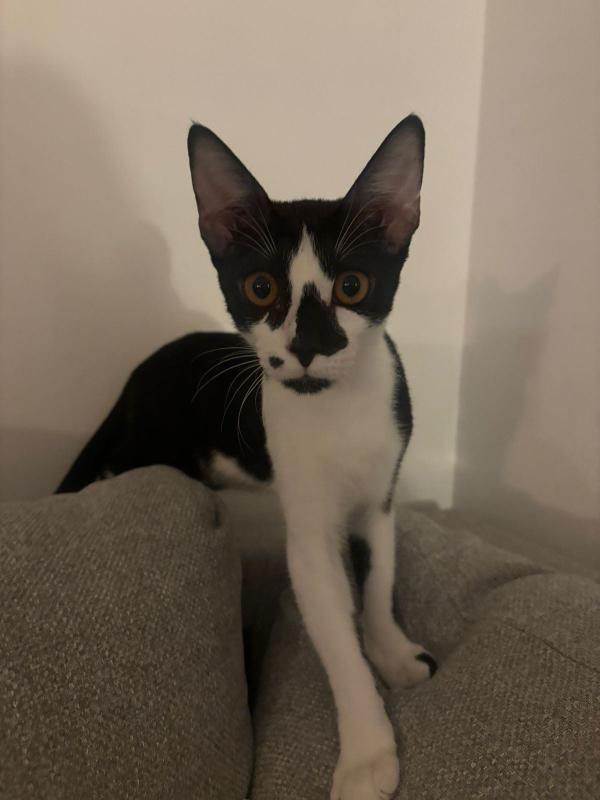Casper