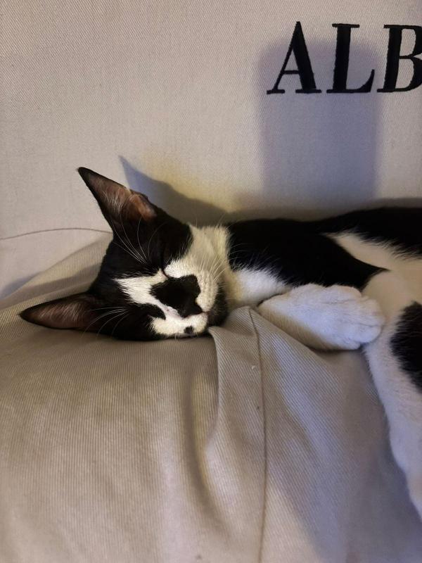 Casper