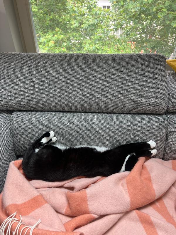 Max