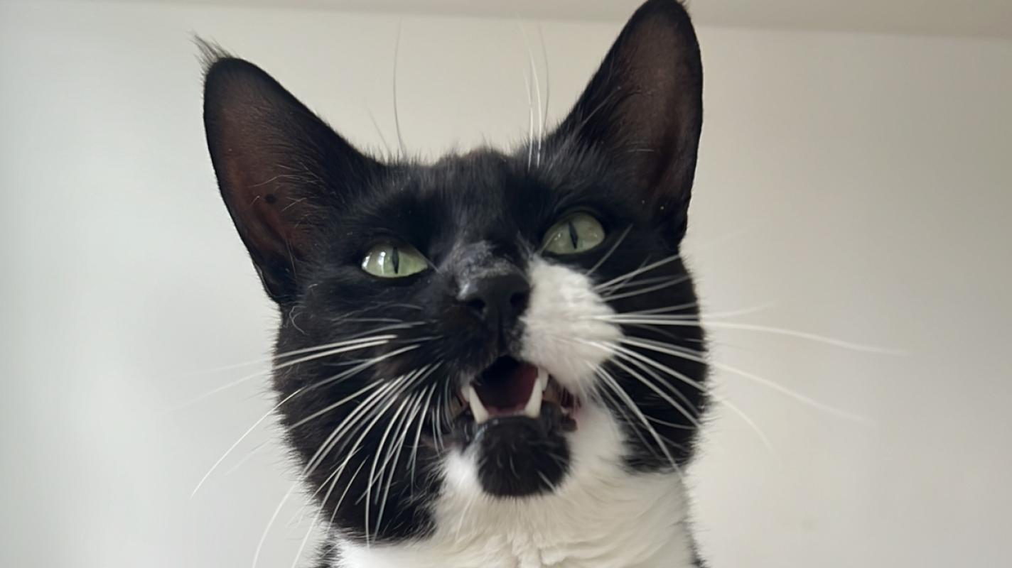 Max