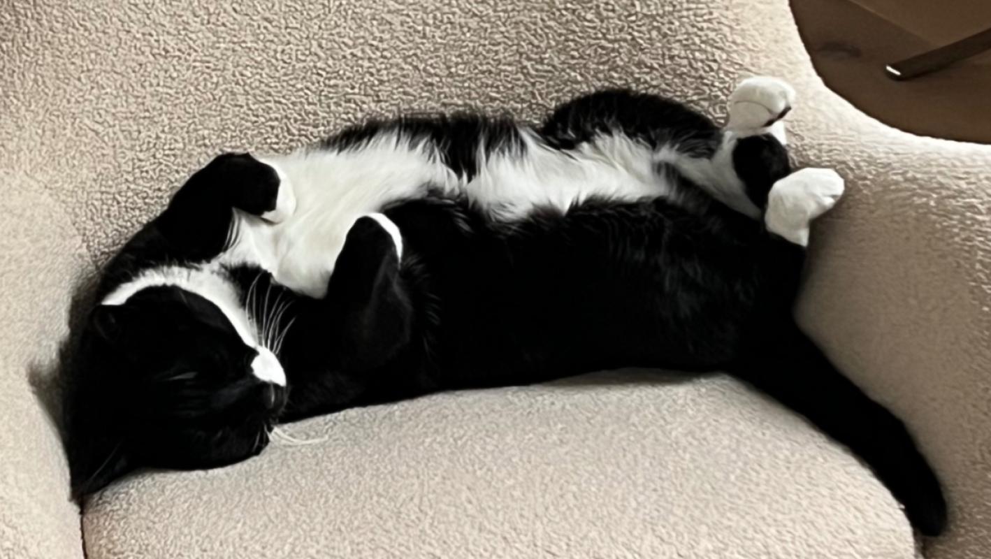 Max