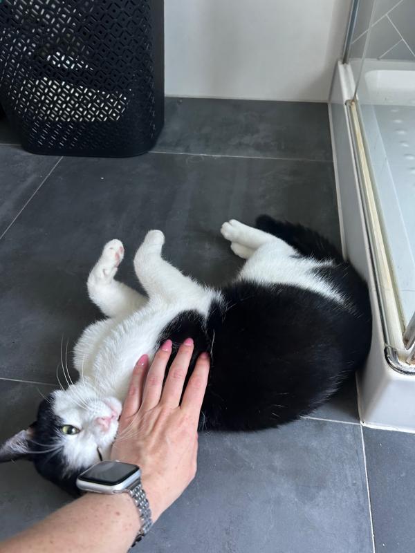 Kleine vriend
