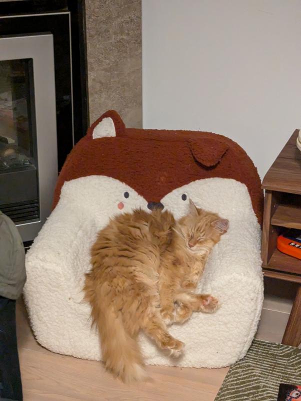 Mochi