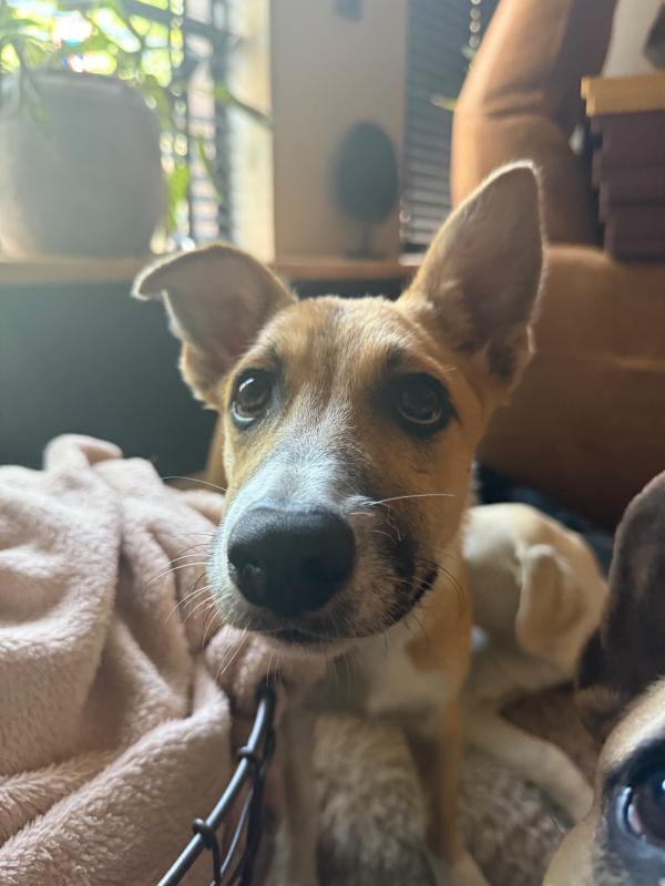 Skye