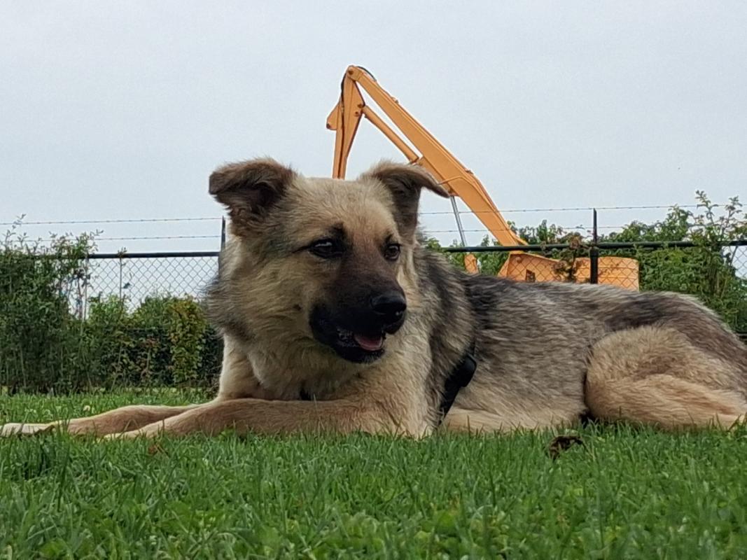 Zoë