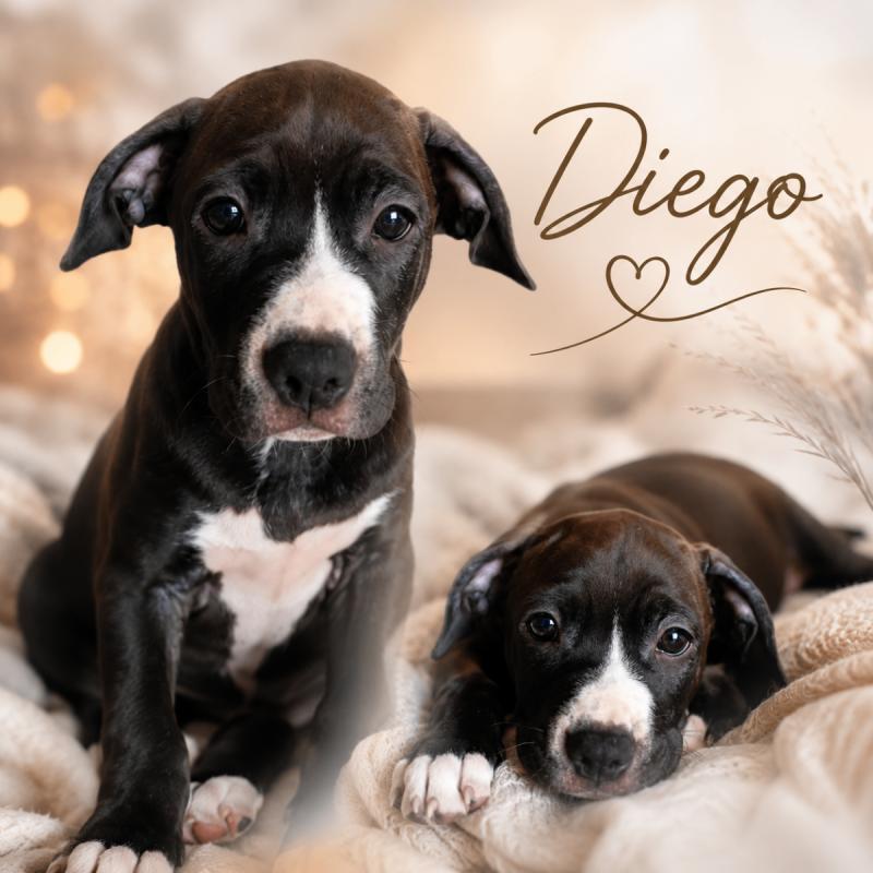 Diego