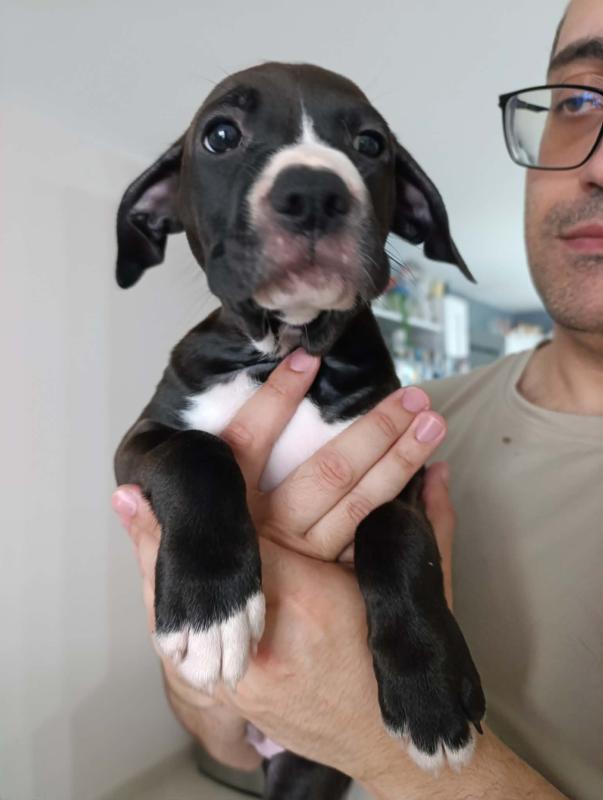 Diego