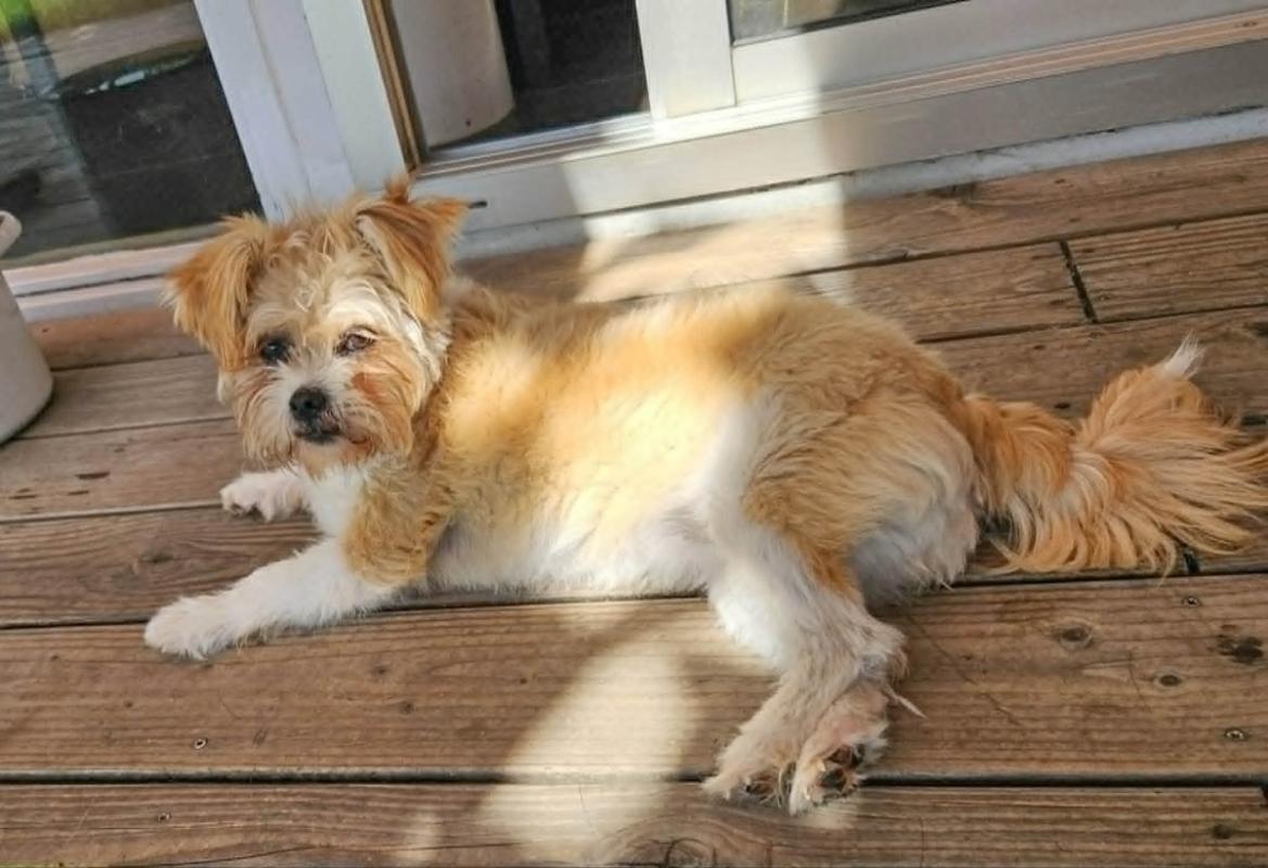 Betty