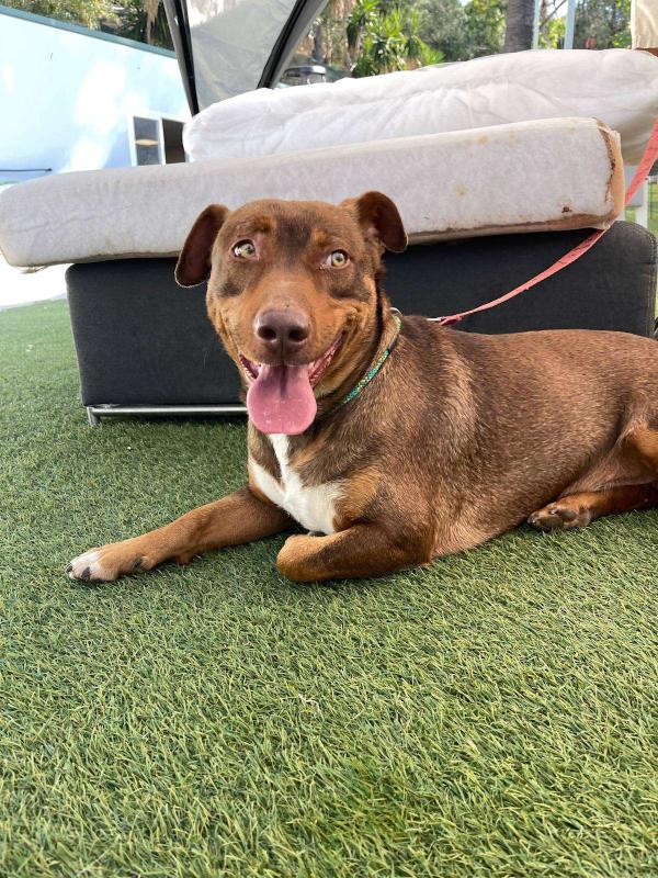 Slinky