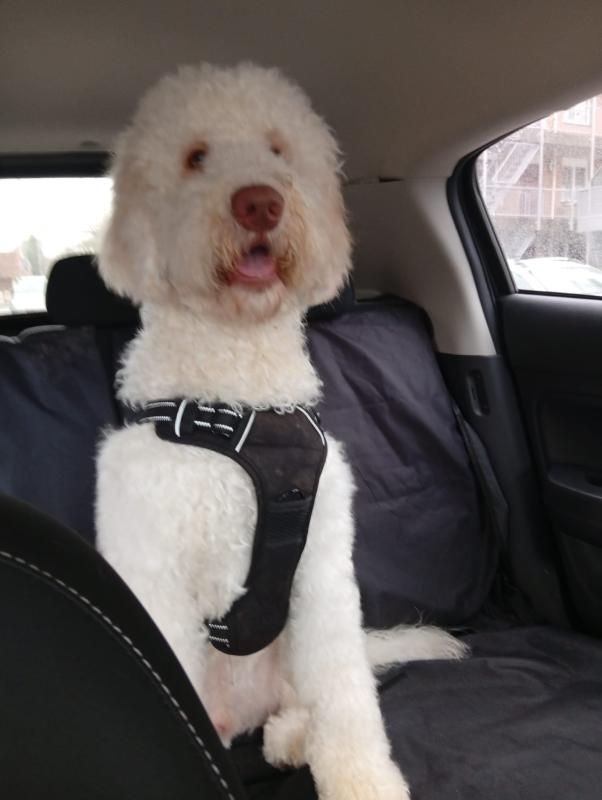 Jacky