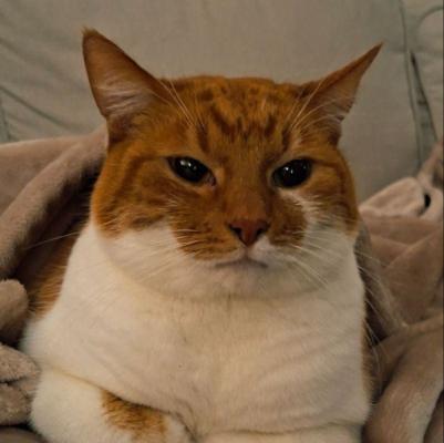 Felix