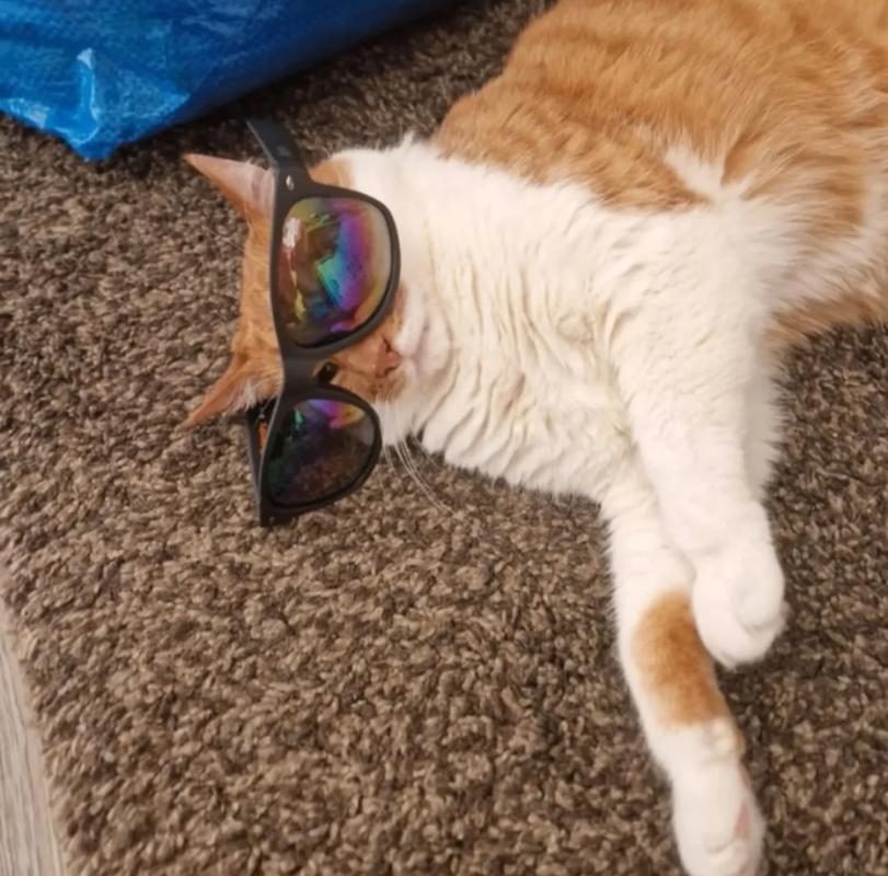 Felix