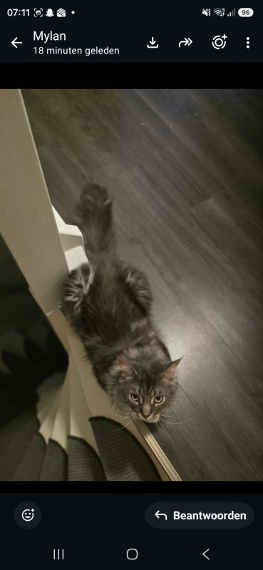 Olaf