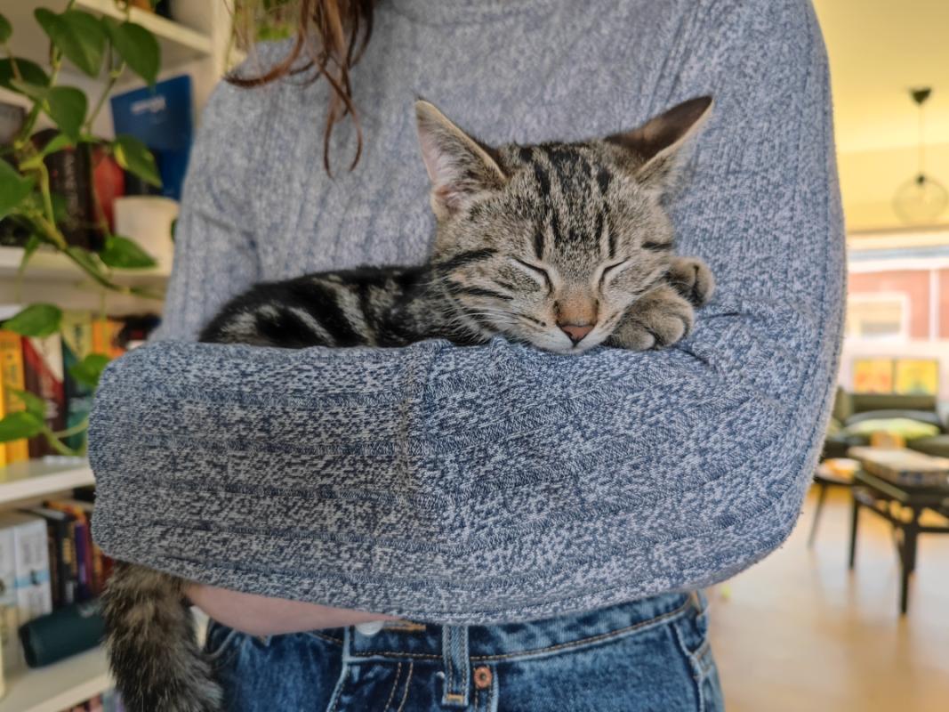 Milo