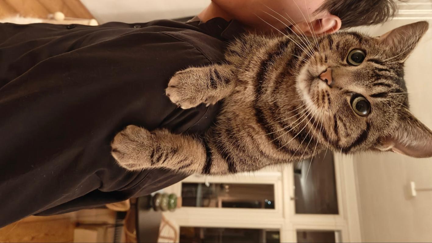 Milo