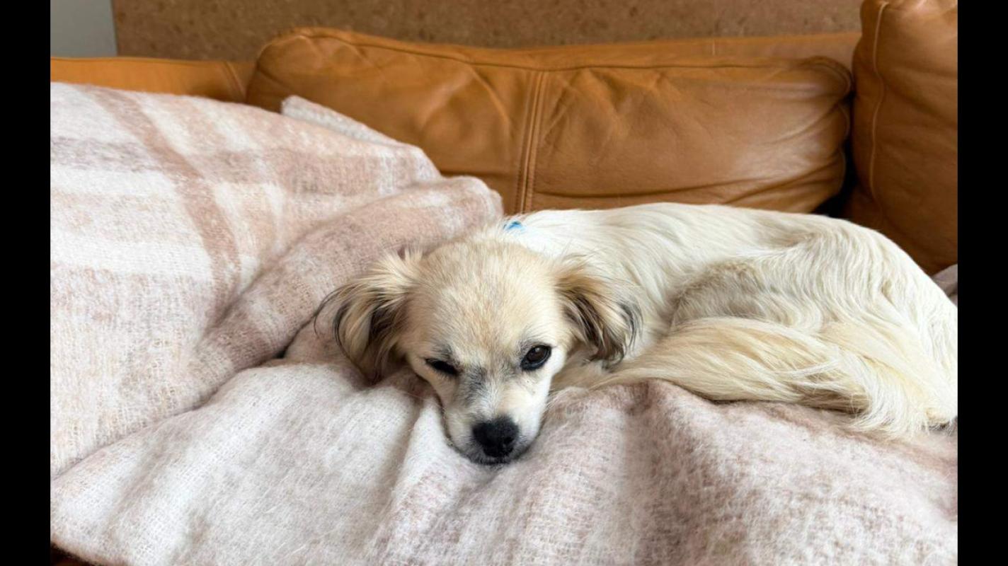 Maggie